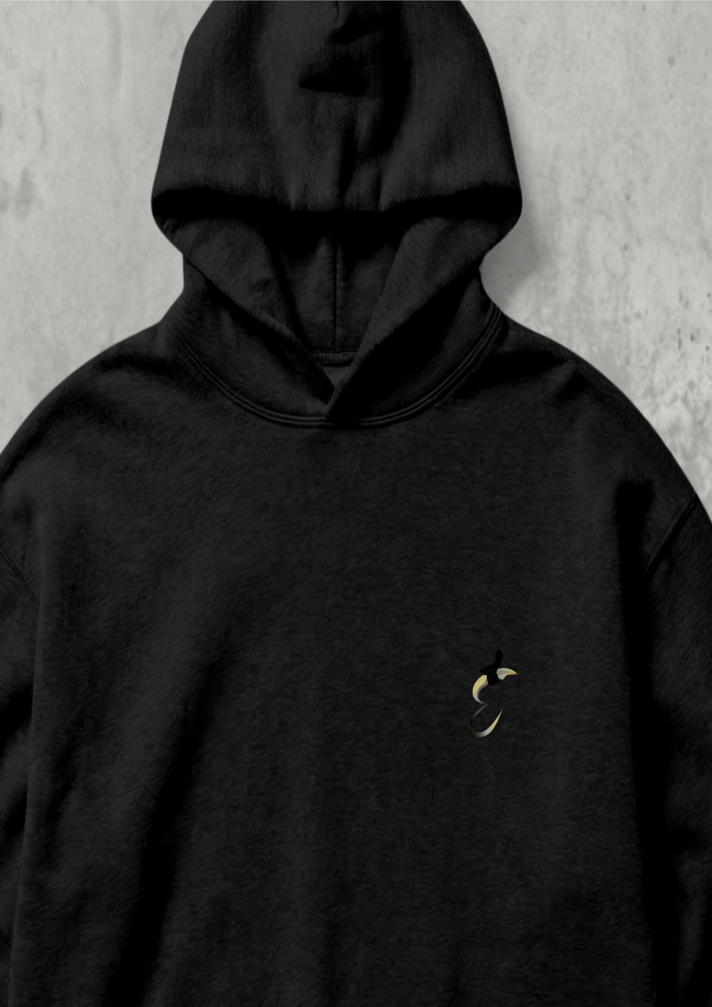 NIT NAGALAND - EKARIKTHIN - THE WORLD - PREMIMUM 350 GMS HOODIE