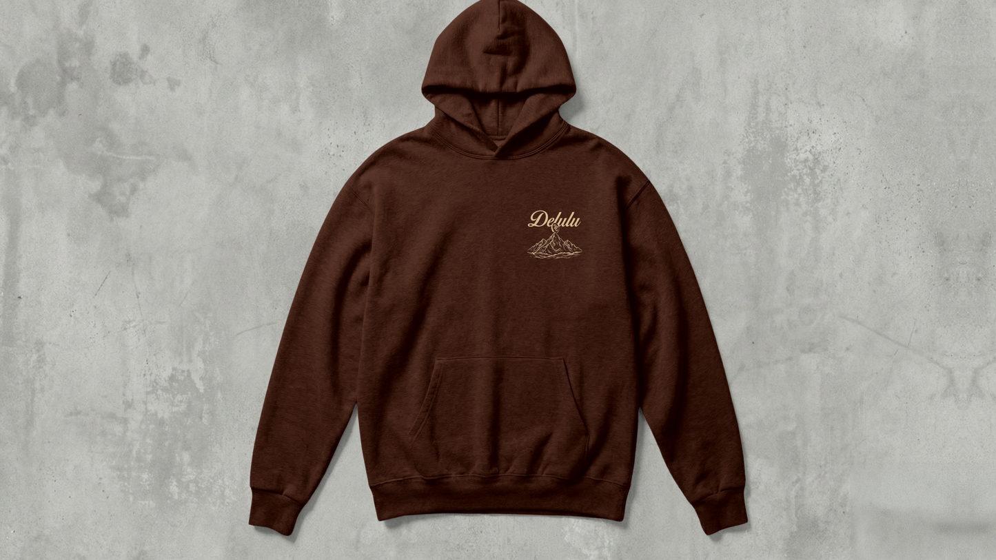 IIM SHILLONG - BROWN DELULU - PREMIUM  380 GSM OVERSIZE EXPORT HOODIES