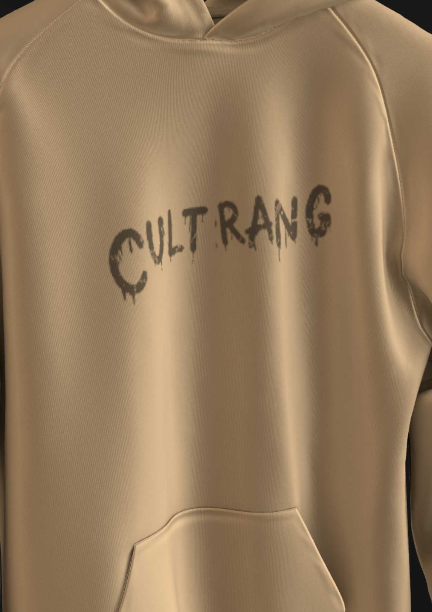 IIT GOA - CULTRANG - METAMORPHOSIS  - PREMIUM 350 GSM HOODIE