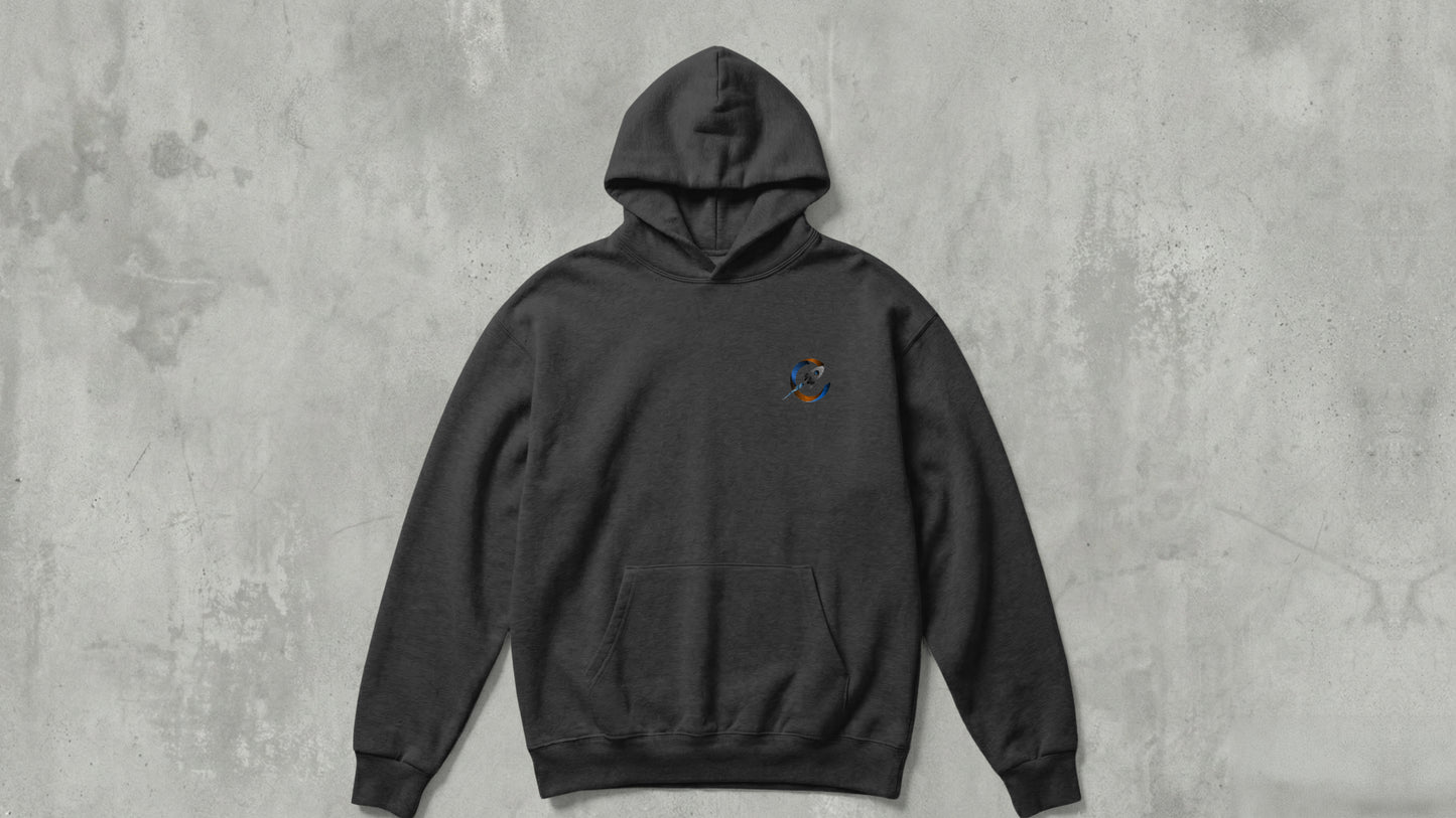 IIT PATNA - ABHIMANYU RESISTENCE - PREMIUM 350 GSM HOODIES